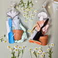 Sage with Daisies